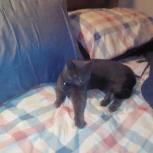 Meet your Posher, Maryellen